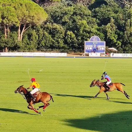 Holiday Homes Marina