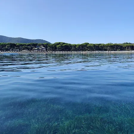 Apartment Holiday Homes Marina *