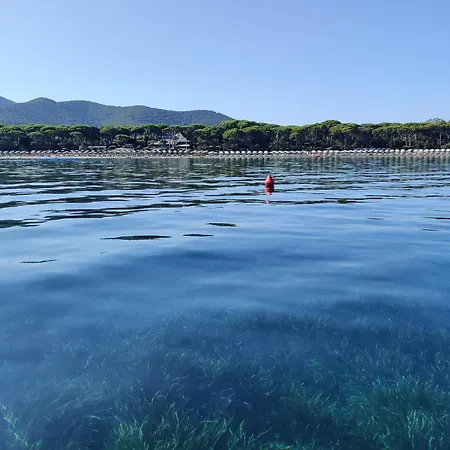 Apartment Holiday Homes Marina Punta Ala