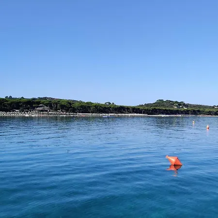 Holiday Homes Marina Apartment